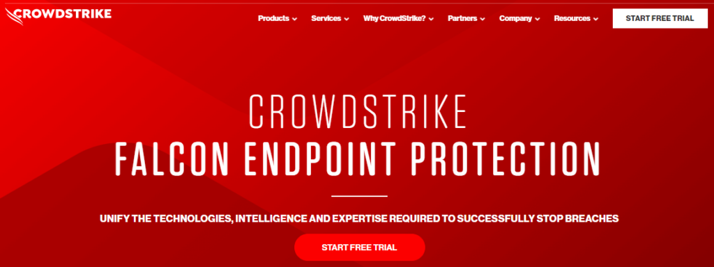 Falcon Endpoint Security Software