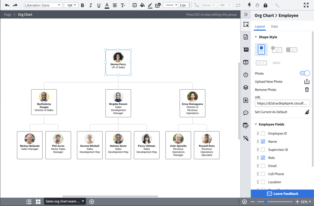 Lucidchart ORG Chart Software